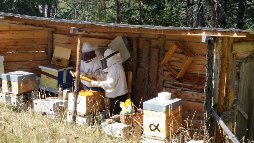 Studio Barcelonnette Ubaye, Provence Enchastrayes 外观 照片